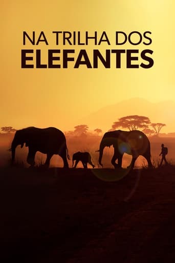 Na Trilha dos Elefantes