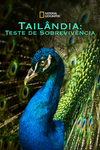 Tailândia: Teste de Sobrevivência