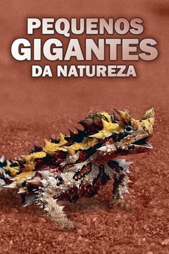 Pequenos Gigantes da Natureza