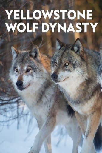 Os Lobos de Yellowstone