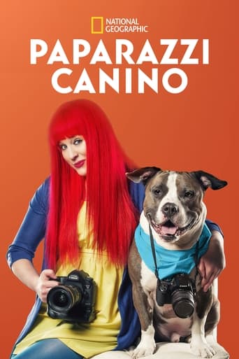 Paparazzi Canino