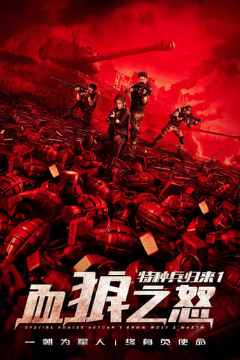 特种兵归来1:血狼之怒