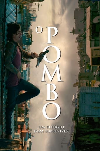 O Pombo - Um Refúgio para Sobreviver