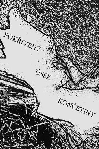 Pokřivený úsek končetiny
