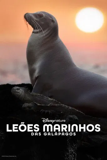 Sea Lions of the Galapagos
