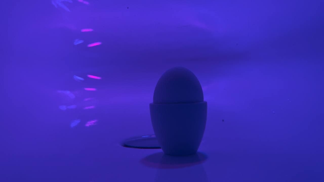 Simon‘s Eggs
