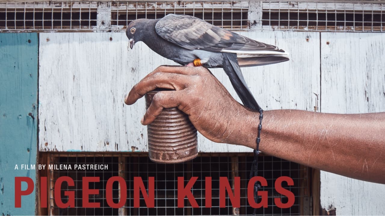 Pigeon Kings