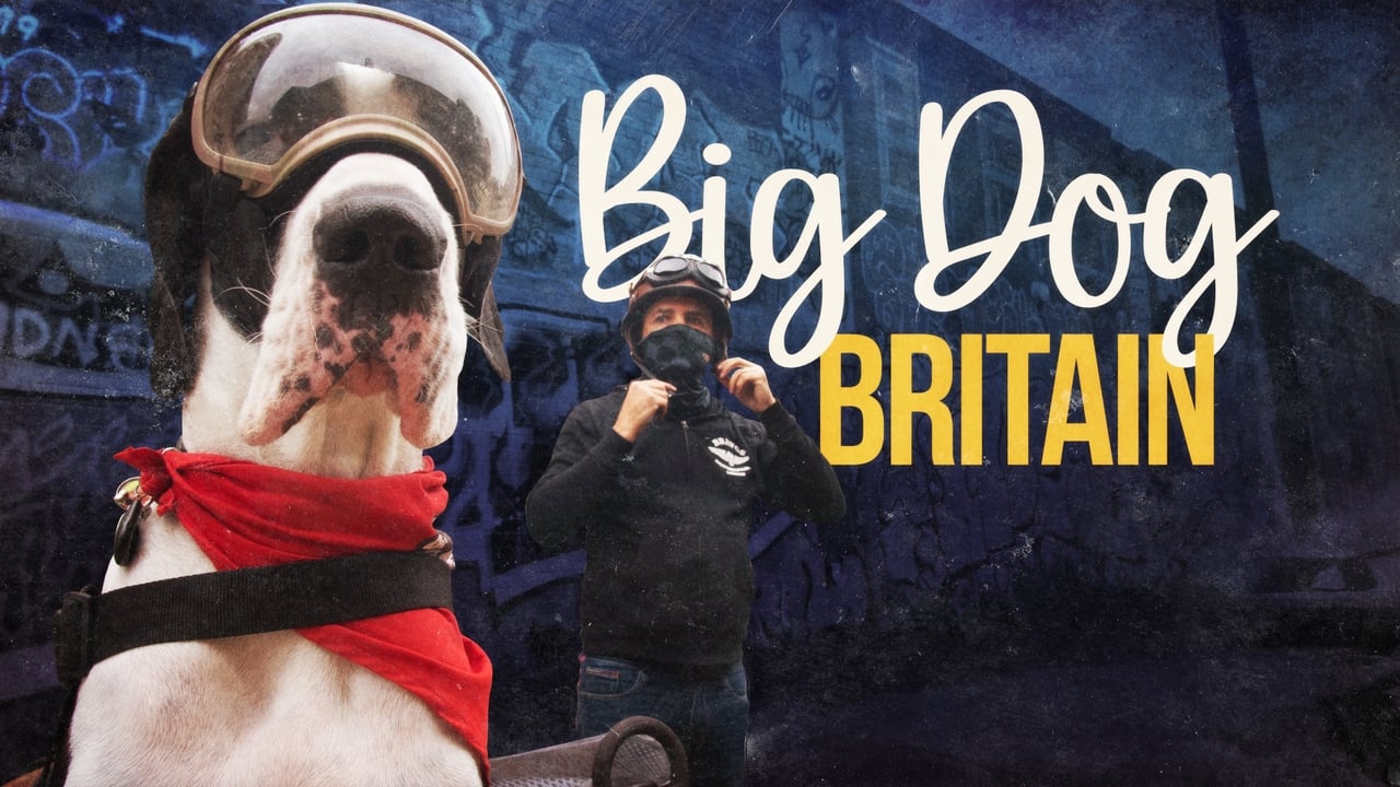 Big Dog Britain