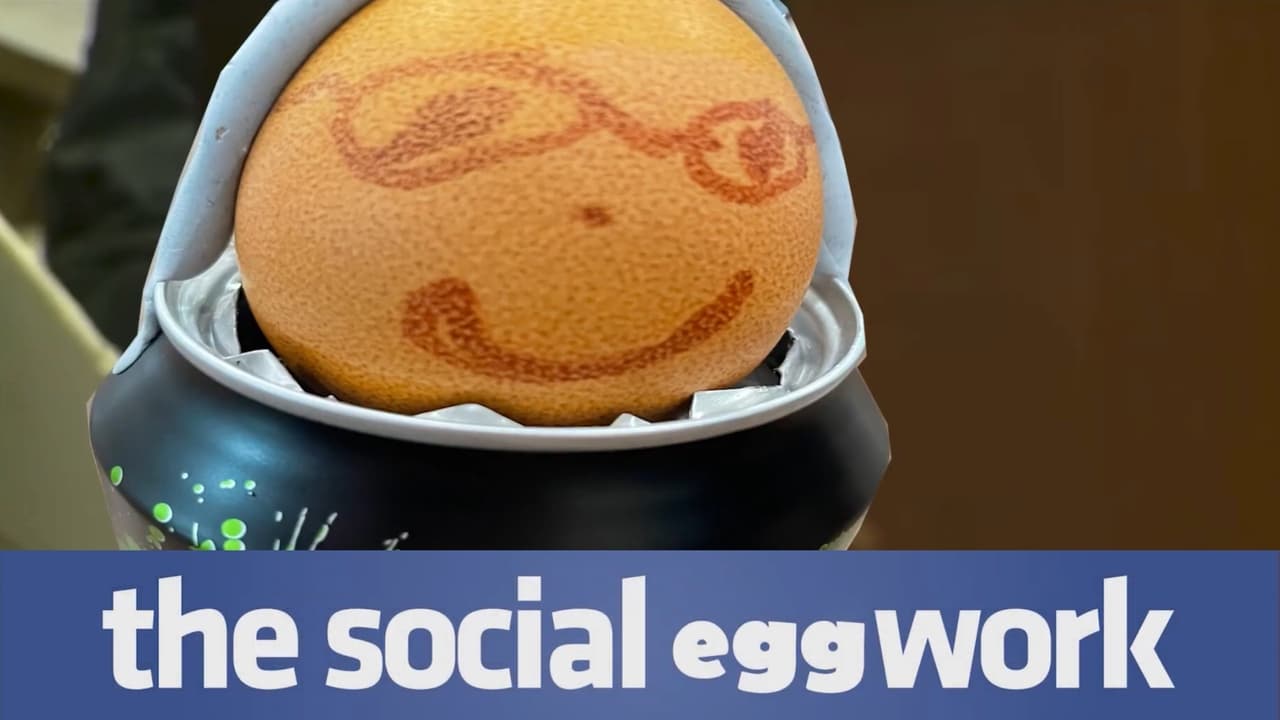 The Social Eggwork