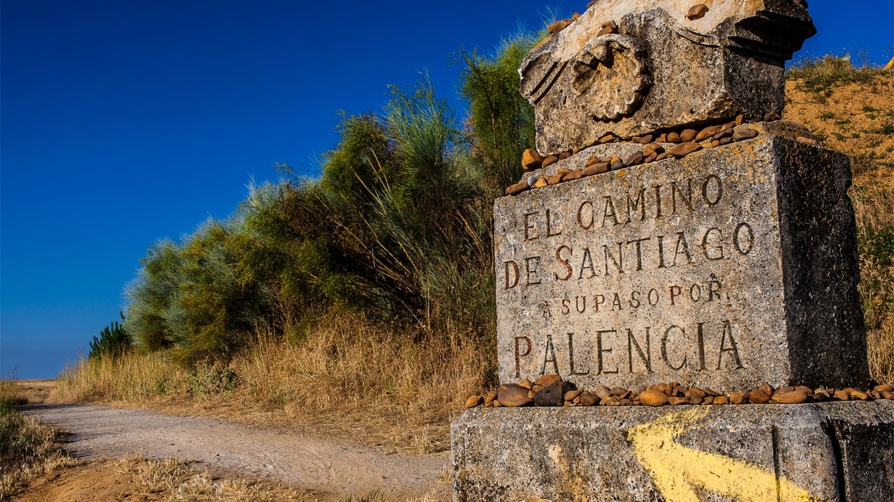 Santiago: The Camino Within