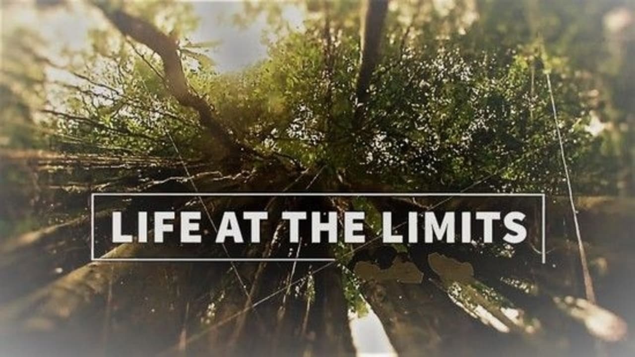 Life at the Limits