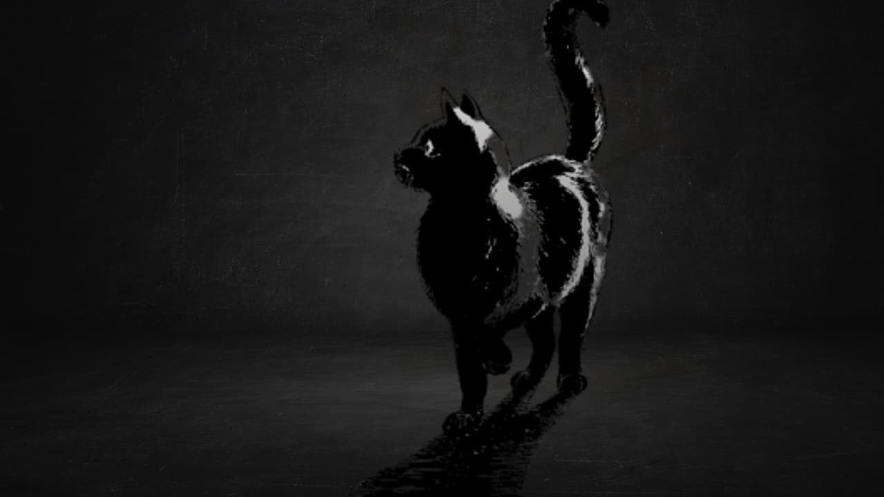 Gato Bruce - O Filme - Uma História Interessante de um Gato
