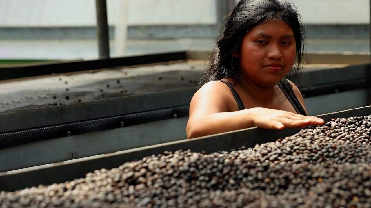 Les maîtres du café