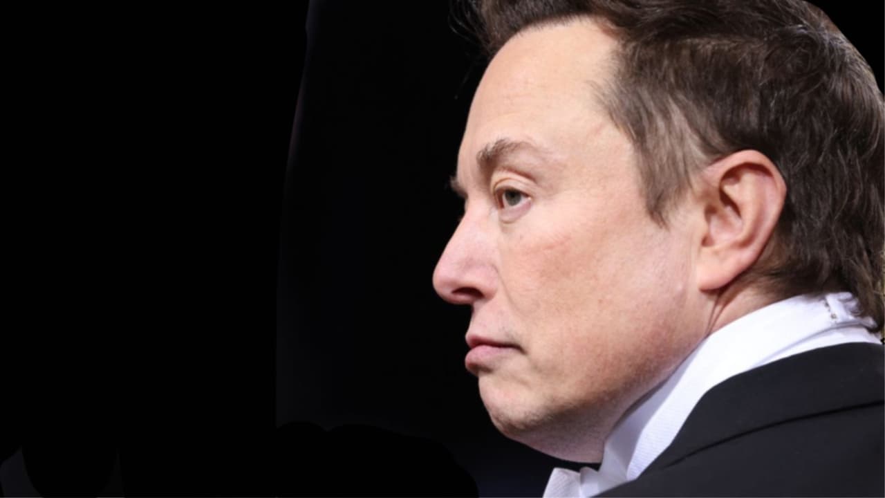 Elon Musk's Twitter Takeover