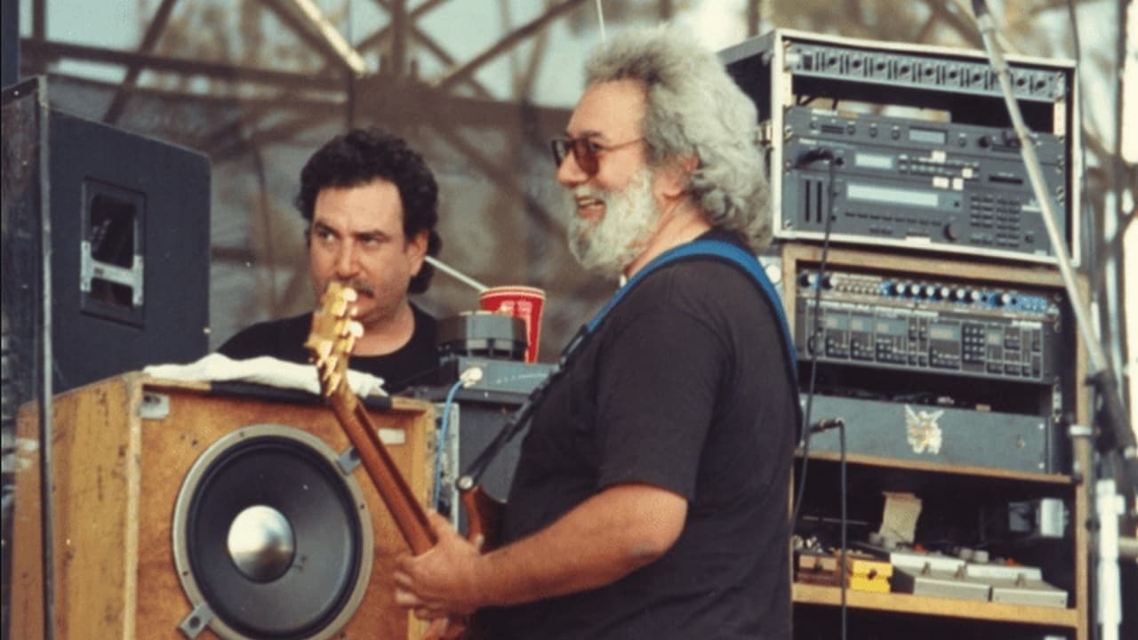 Grateful Dead: View from the Vault II