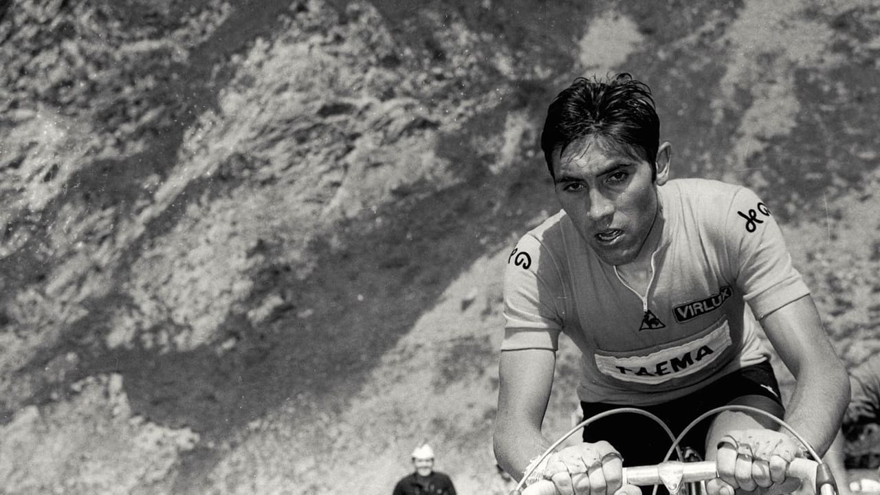 1969 - Following Merckx