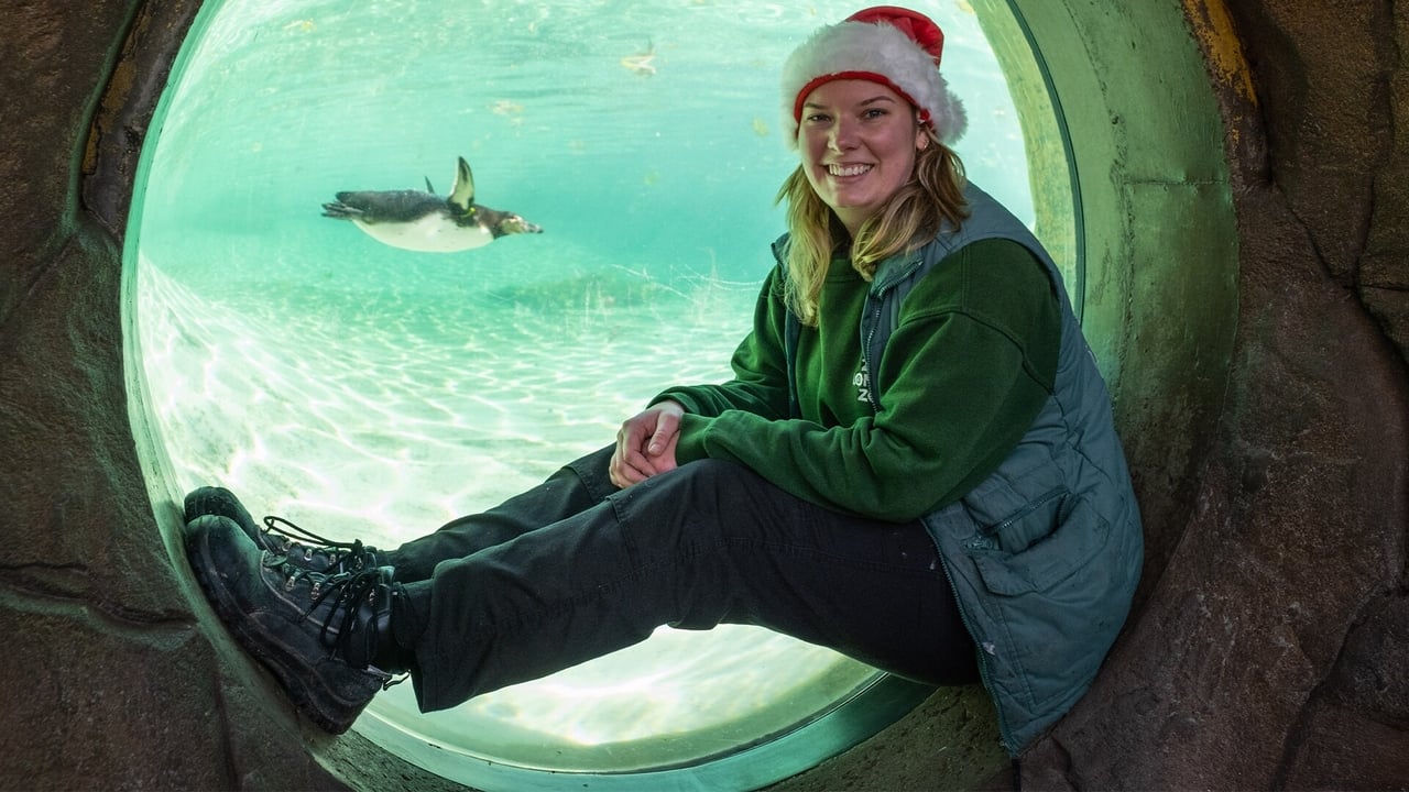 London Zoo at Christmas