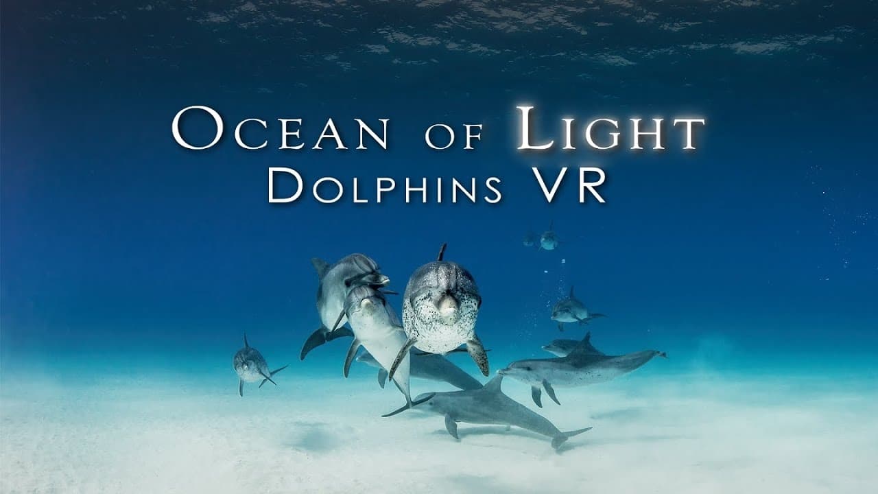 Ocean of Light - Dolphins VR