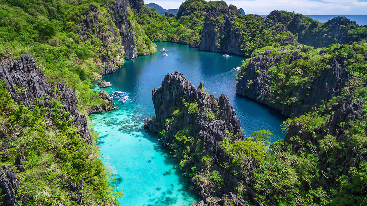 Untamed Philippines