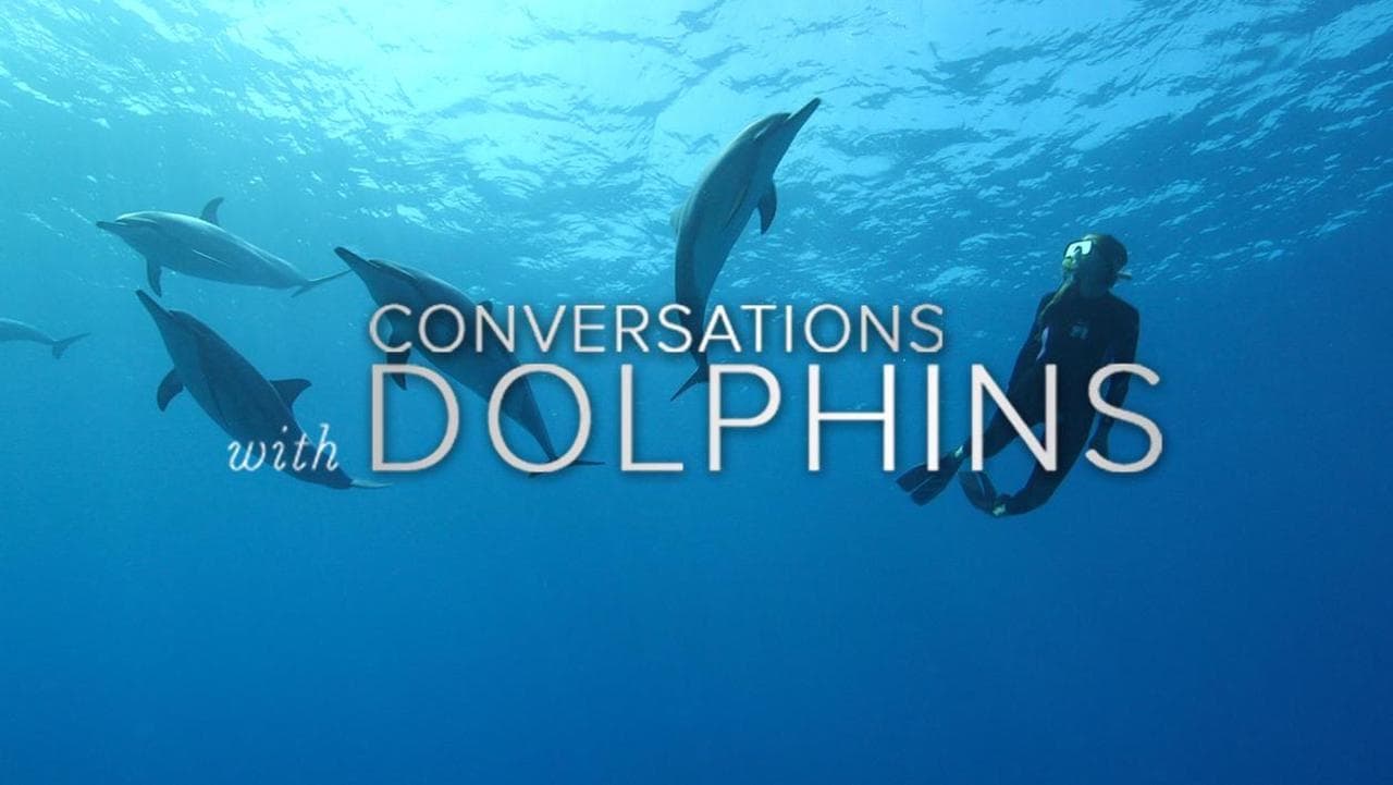 Conversations with Dolphins