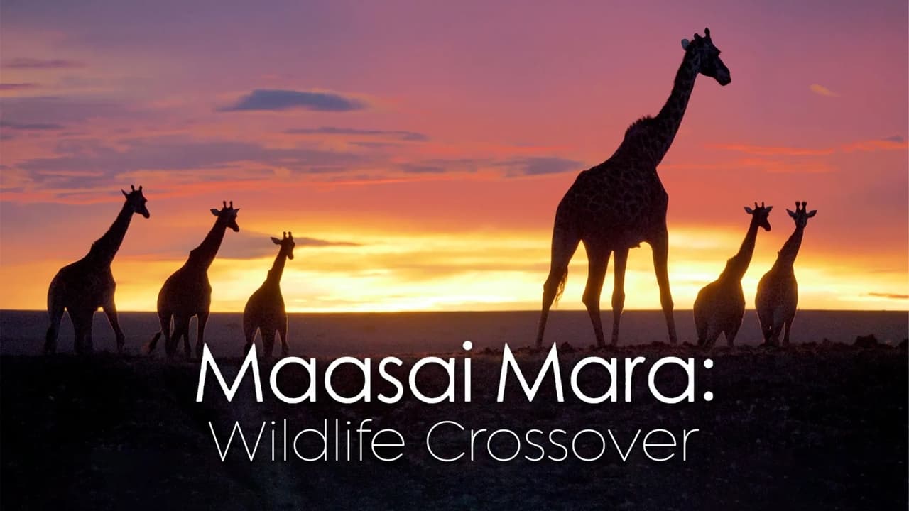 Masai Mara Wildlife Crossover