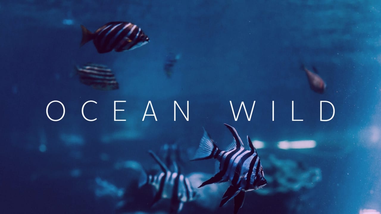 Ocean Wild