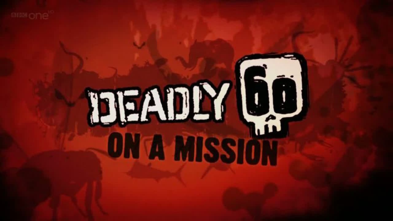 Deadly 60 on a Mission