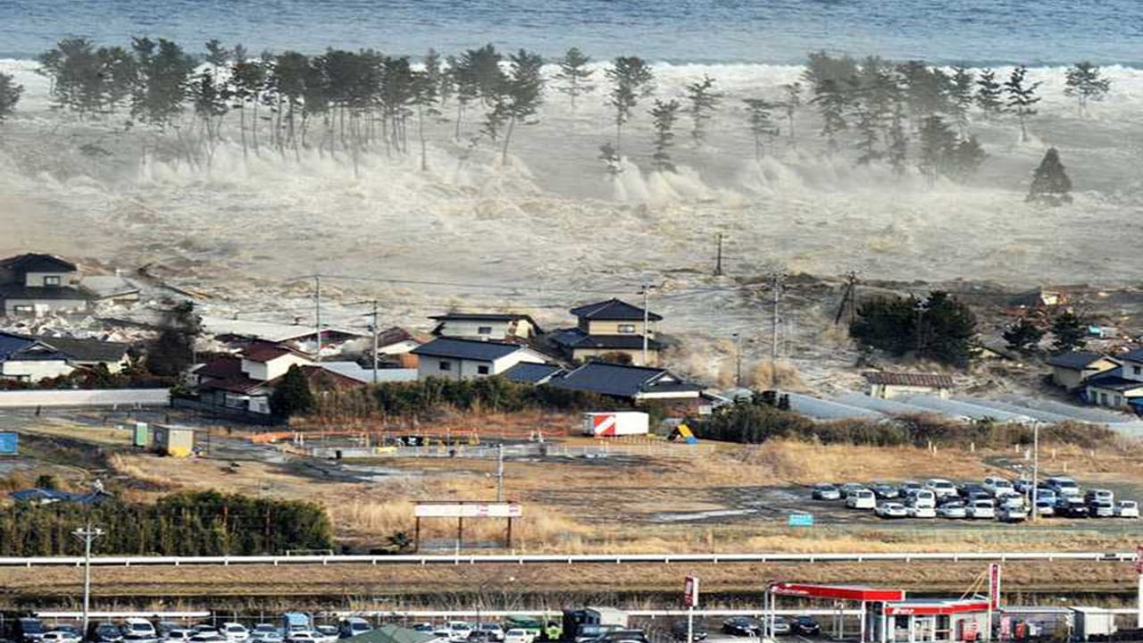 Witness: Disaster in Japan