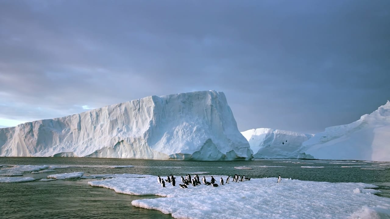 Antarctica: On the Edge