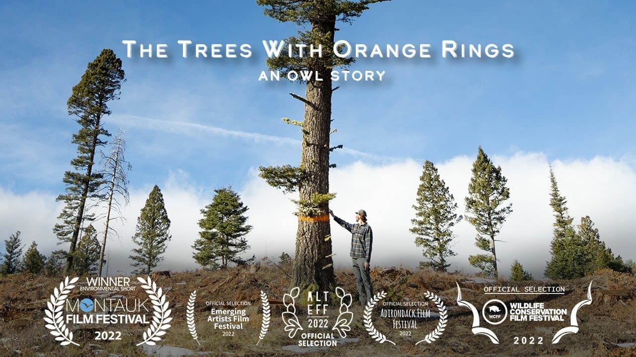 The Trees with Orange Rings