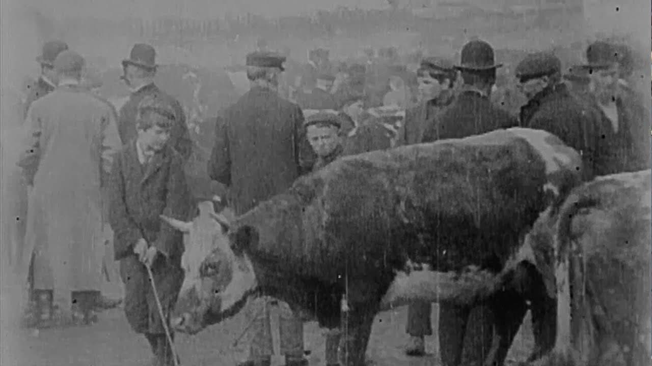 Cattle Market in Derry