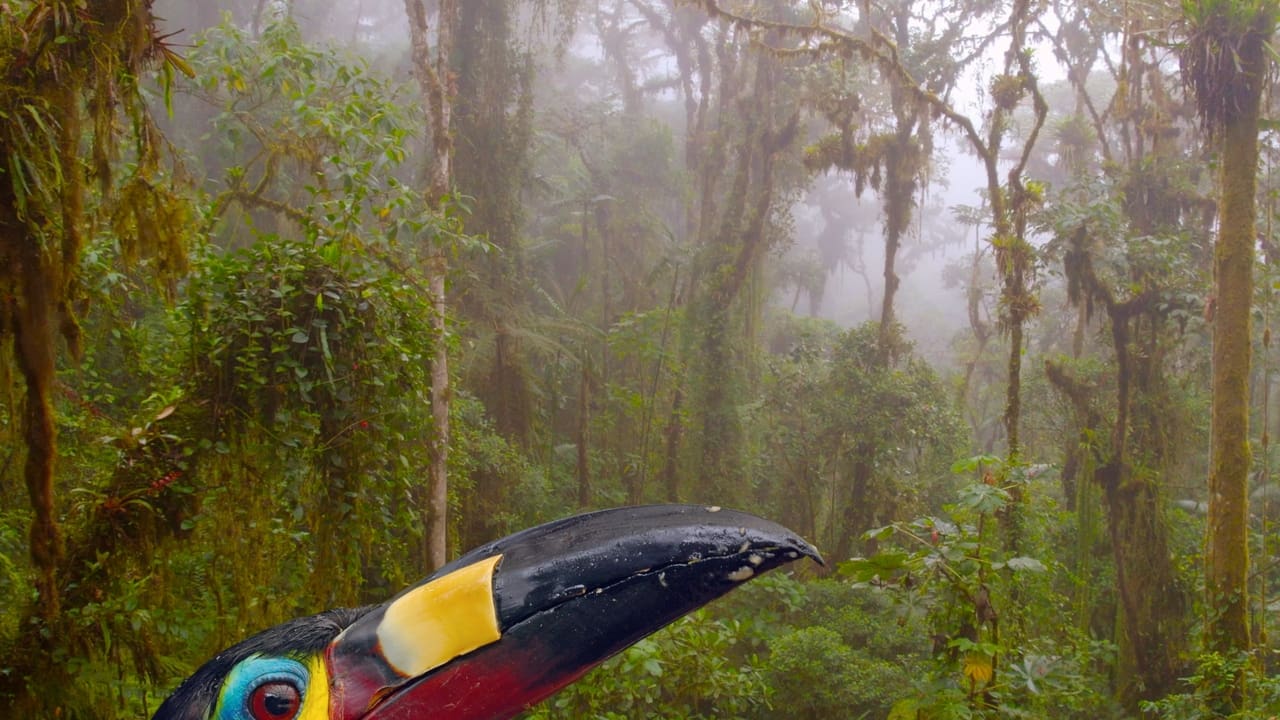 Ecuador: On the Wild Side