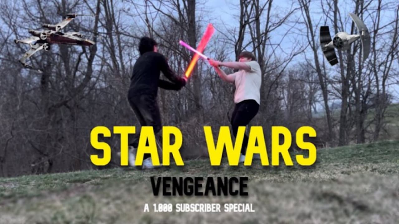 Star Wars: Vengeance