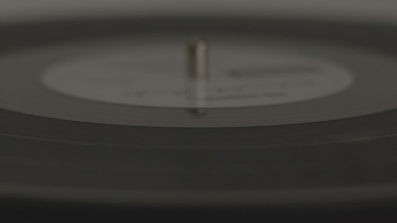 The Vinyl Player