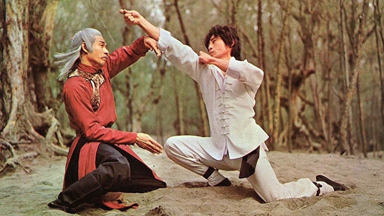 Shaolin Kung Fu Master