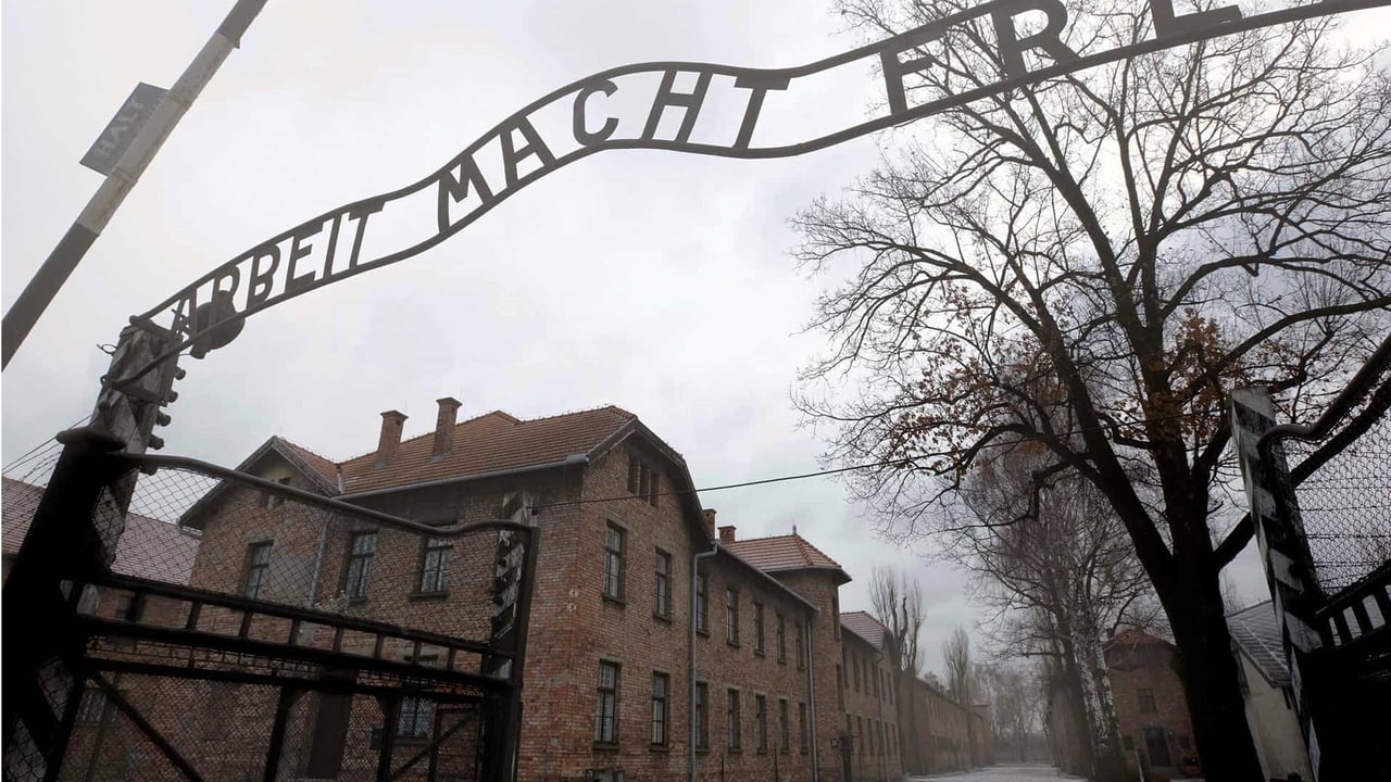 Auschwitz: Journey Into Hell