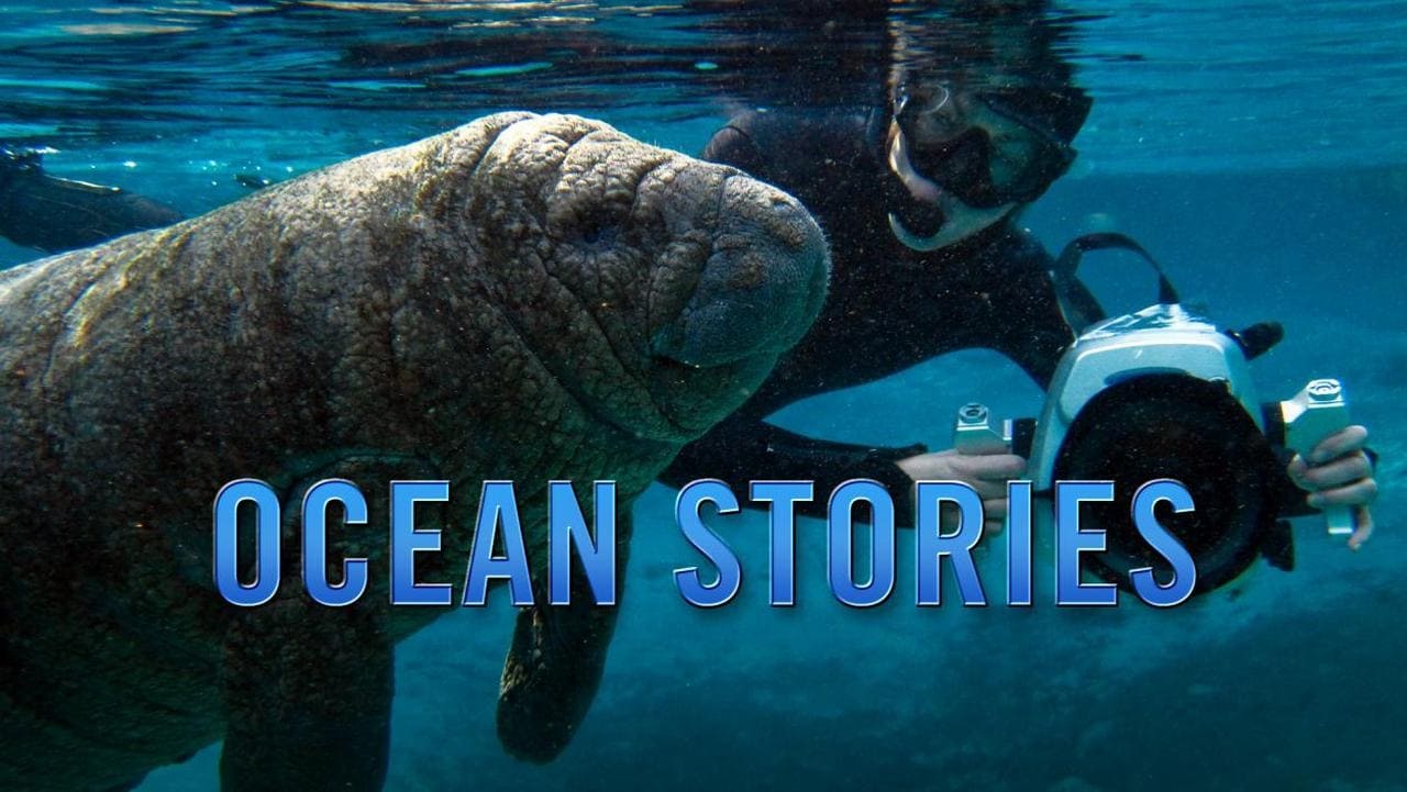 Ocean Stories