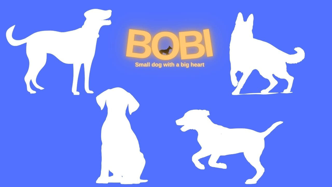 BOBI