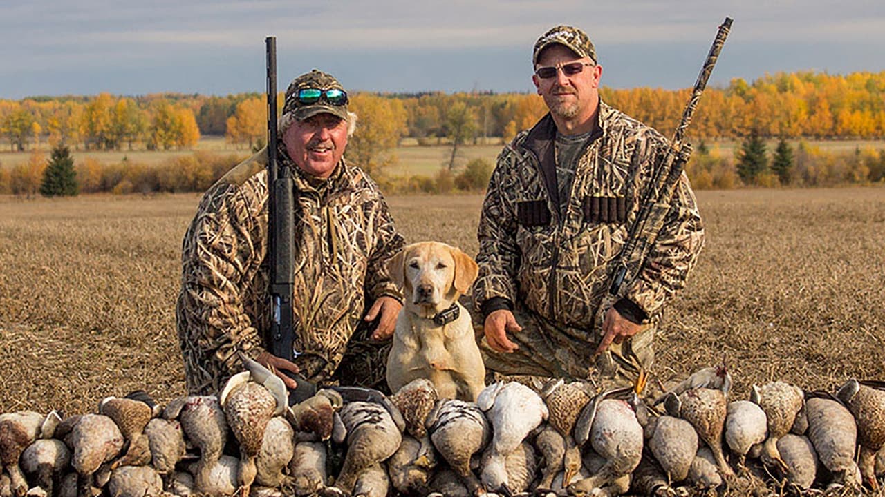 American Birdhunter