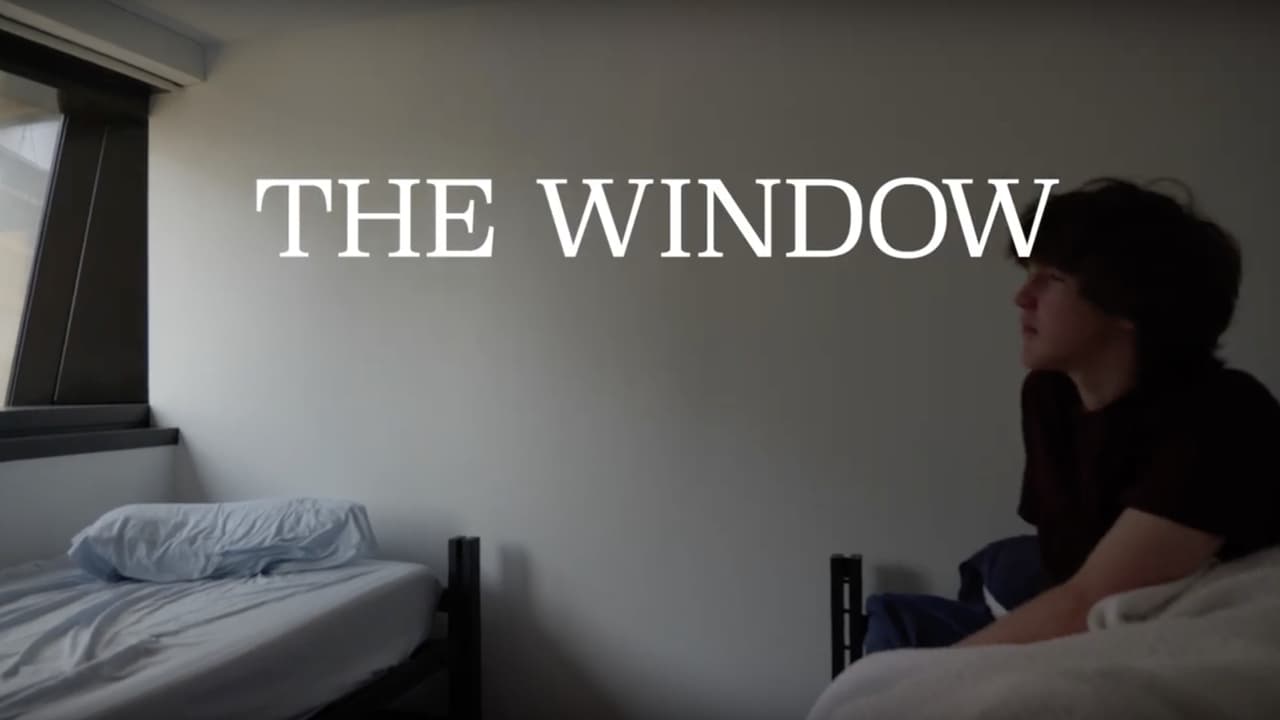 The Window