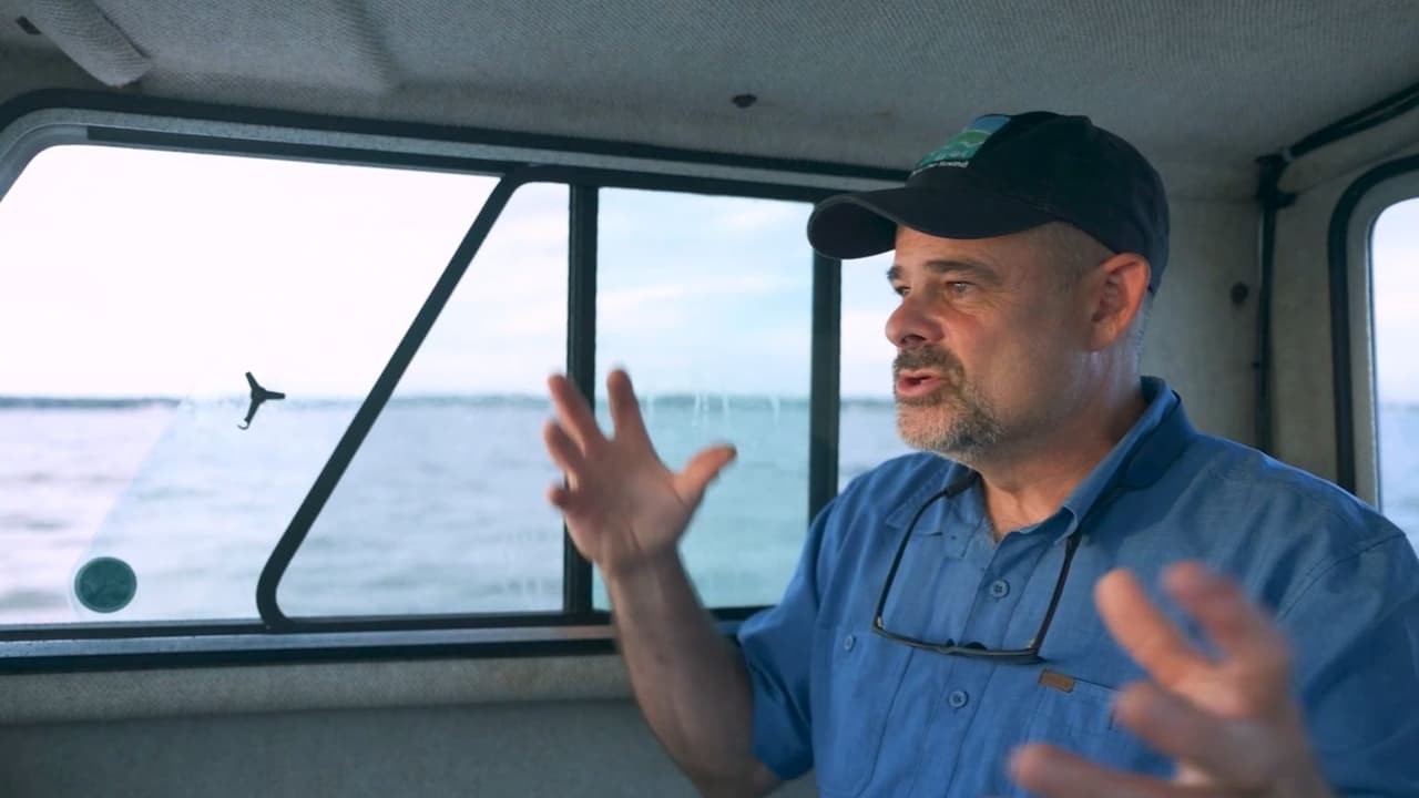 Climate Change Along Connecticut's Coast