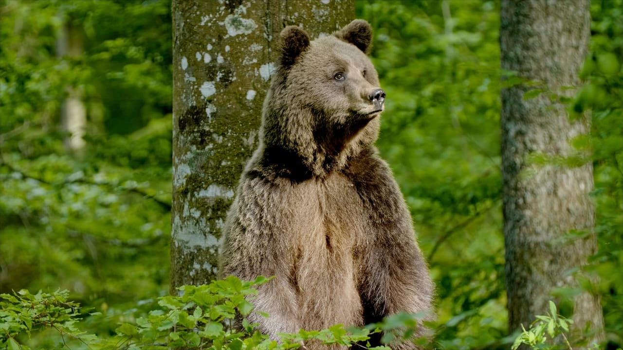 Slovenia - Where Nature Comes First