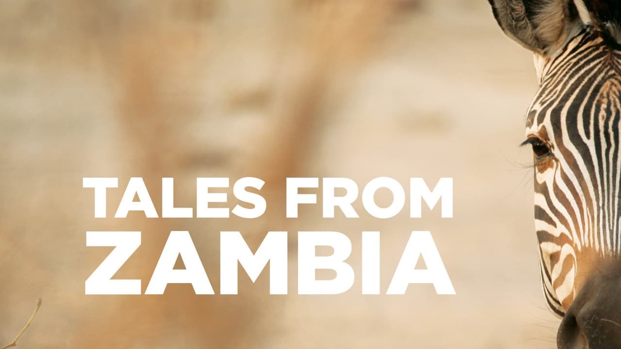 Tales from Zambia