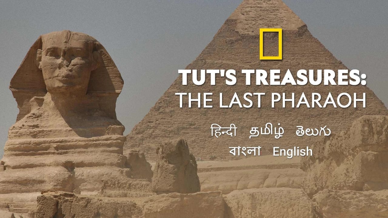 Tut's Treasures: The Last Pharaoh