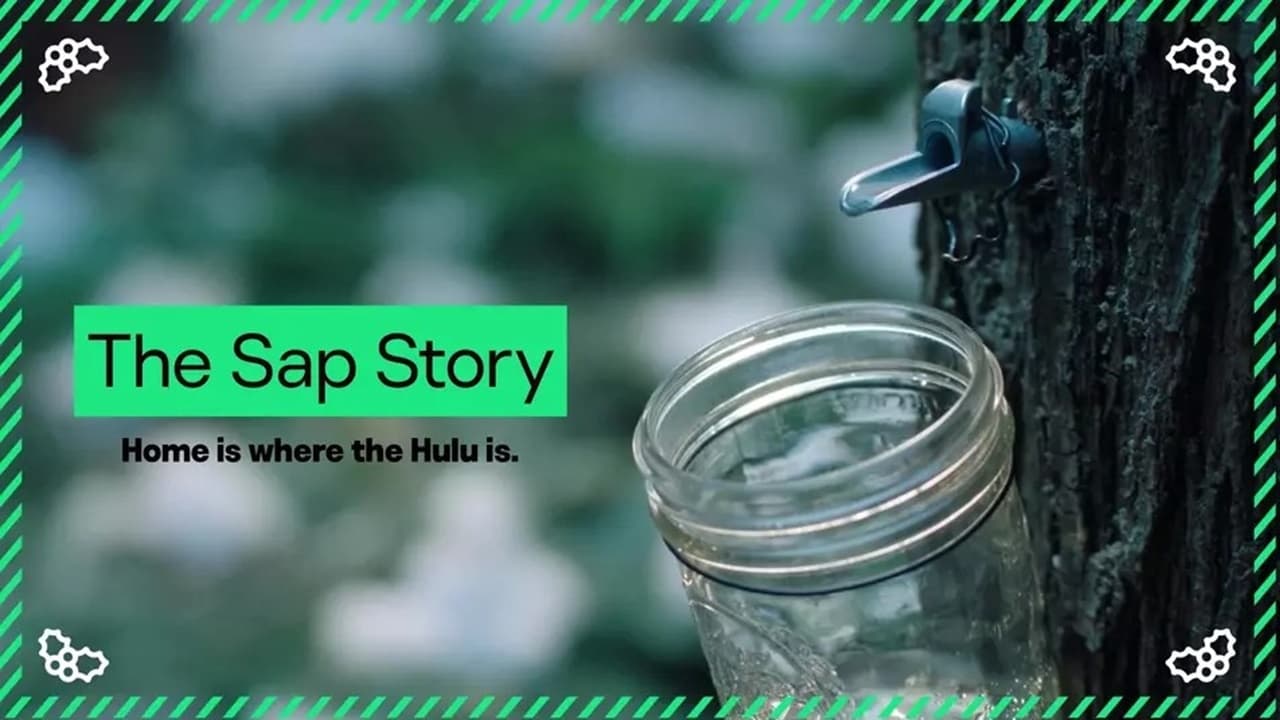 A Sap Story (Hulu Streaming Wonderland)