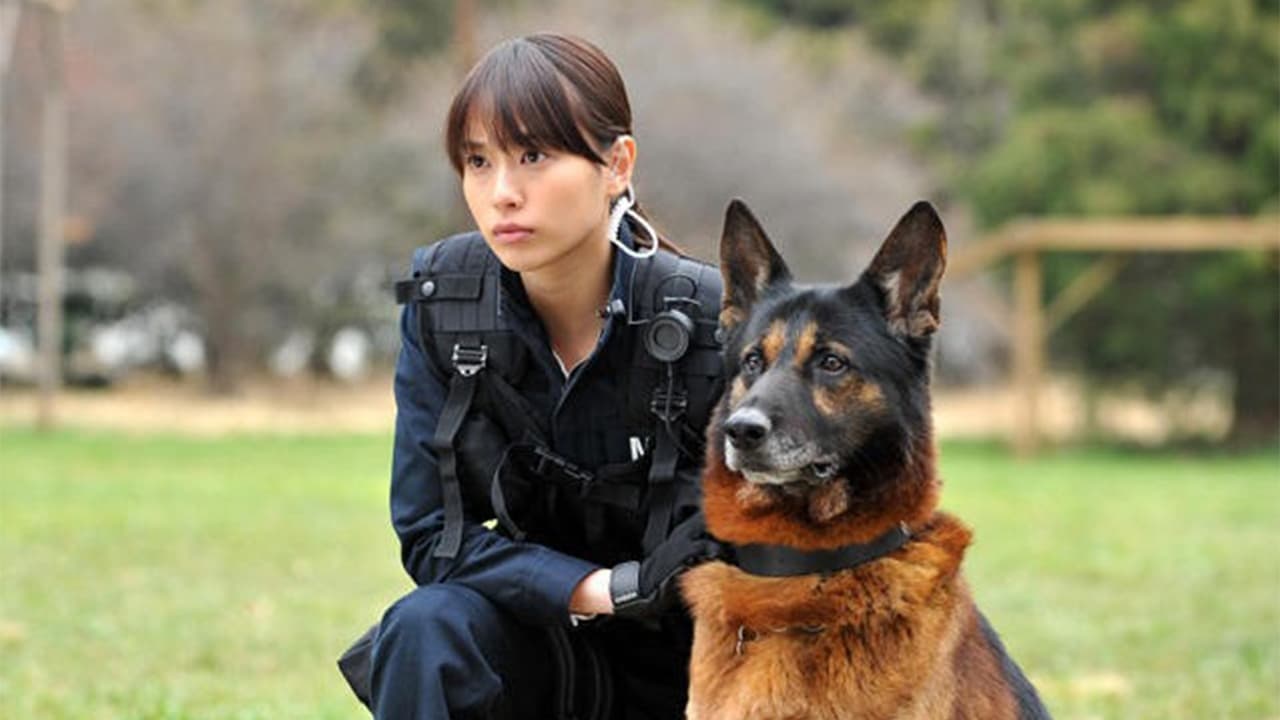 Dog × Police: The K-9 Force