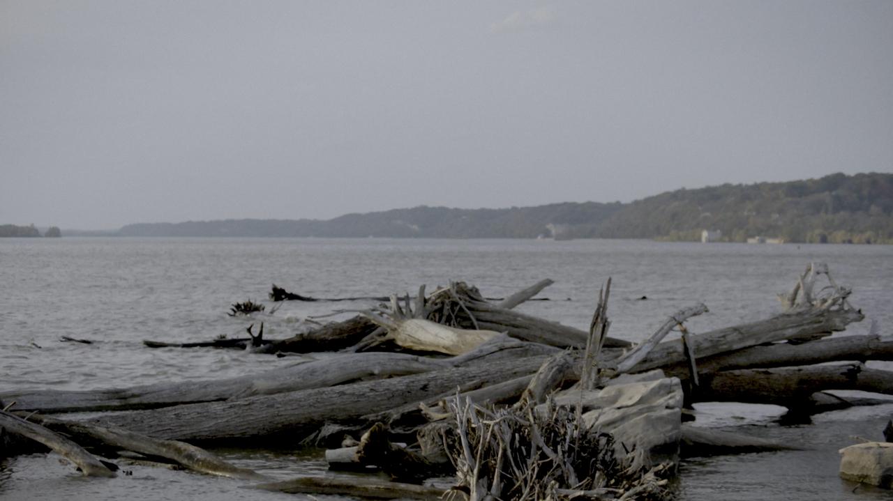 Smallpox Island