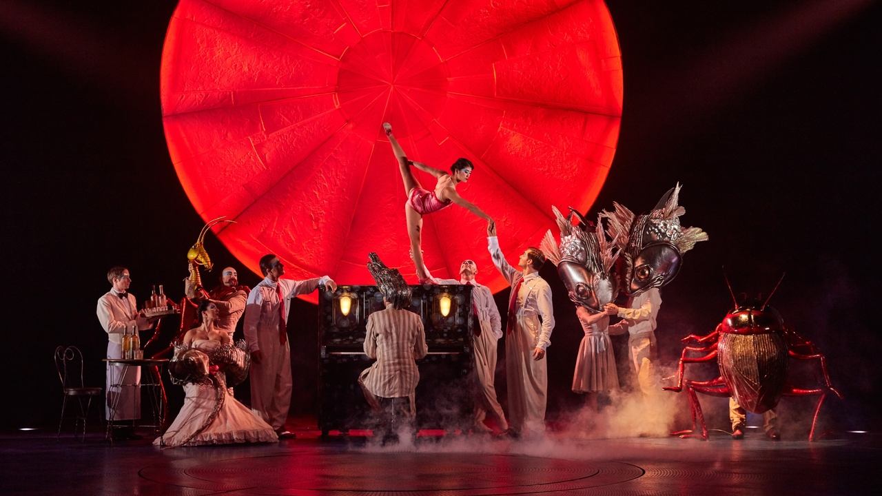 Cirque du Soleil: Luzia