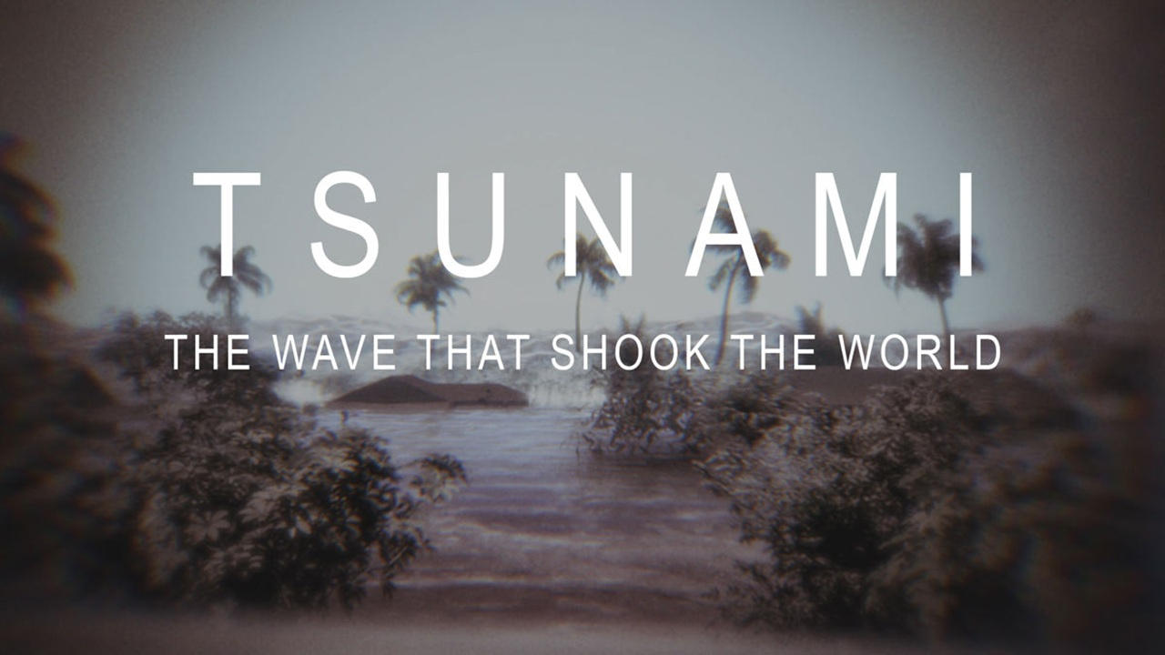 Tsunami: The Wave That Shook the World