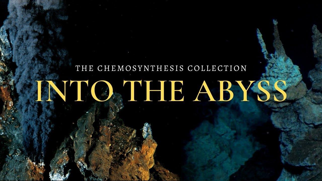 Into the Abyss: Chemosynthetic Oases